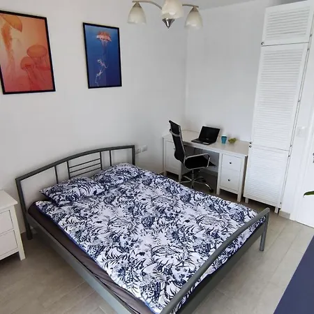 Nautilus Premium סרנדה
